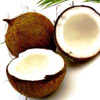  of Coconut