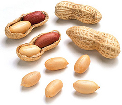 Manufacturers,Exporters,Suppliers of Peanut