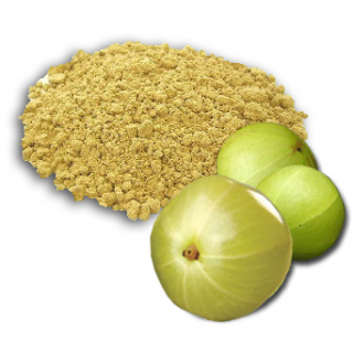 Manufacturers,Exporters,Suppliers of Amla Powder