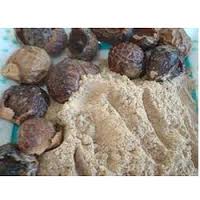 Manufacturers,Exporters,Suppliers of Aritha Powder