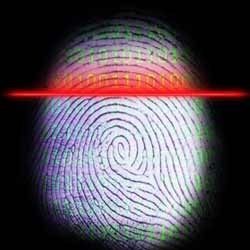 Services Provider of Biometric System
