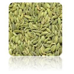 Exporters,Suppliers of Fennel Seeds