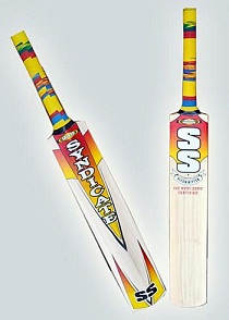 Manufacturers,Suppliers of Pitch Hitter Cricket Bat
