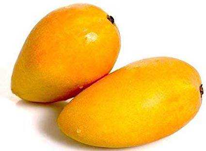 Suppliers of mango