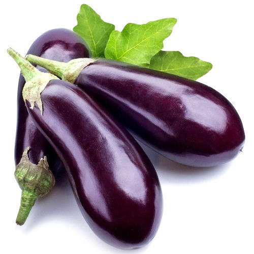 Suppliers of Brinjal
